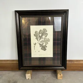Botanical Print, #2, Oak Leaves, Plaid Matt, Framed