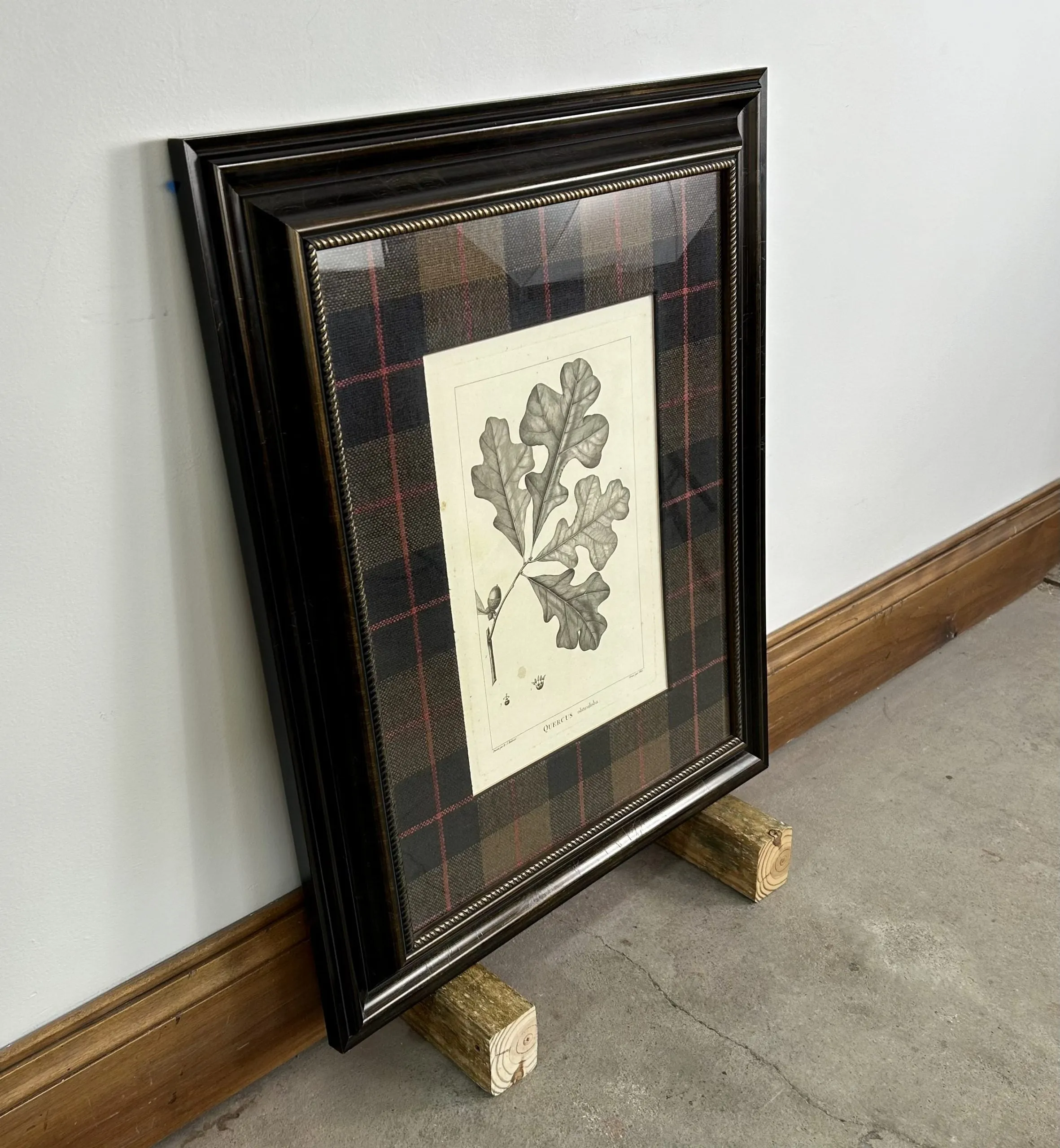 Botanical Print, #2, Oak Leaves, Plaid Matt, Framed